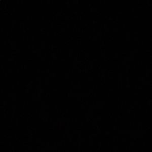 Meet your Posher, Adolfo